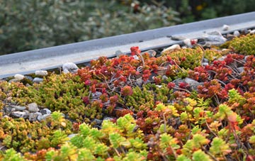 the cost of Drumaroad green roof installation