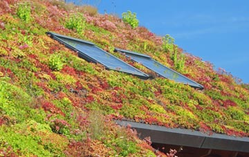 Drumaroad living roof systems