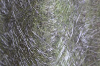 Drumaroad fibreglass roof work