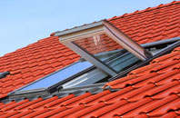 Drumaroad roof window